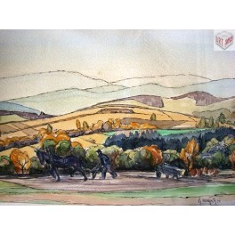 Oráč, 1951 Oráč, 1951