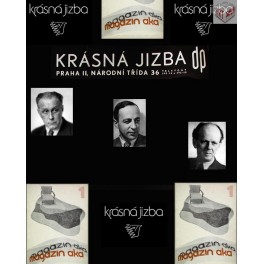 Funkcionalističtí výtvarníci a sdružení