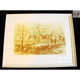 Letní ustájení telat, 195?, V. Valášek Letní ustájení telat, 195?, V. Valášek