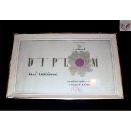 Diplom za aktvní práci v SSM, r. 1976, ČSSR
