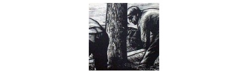 Rambousek Jan (1895-1976)